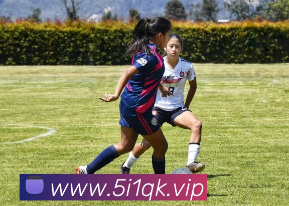 开云(中国)Kaiyun·官方网站 - 登录入口品牌故事