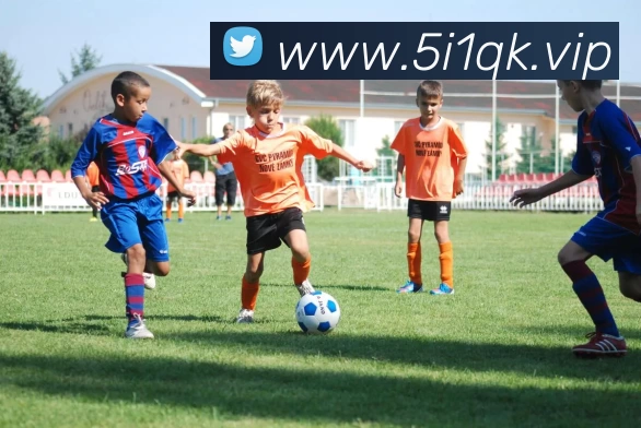 开云(中国)Kaiyun·官方网站 - 登录入口APP 高清赛事图